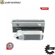 OIL COOLER ENGINE OIL 31SKV209